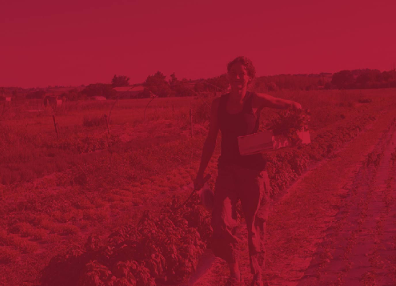 Covid – 19 : Plateforme solidaire de Nouvelle-Aquitaine Covid – 19 : Plateforme solidaire de Nouvelle-Aquitaine