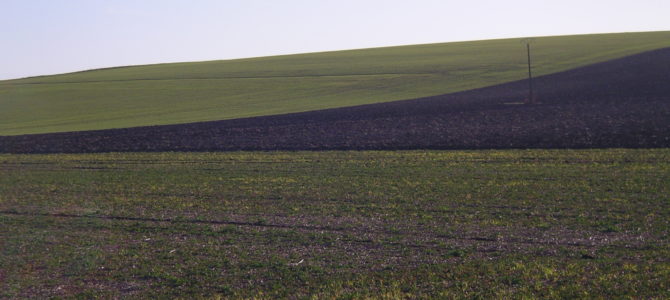 Lancement de l’AMI « Développer les pratiques et des filières basées sur l’agroécologie pour sortir des pesticides »