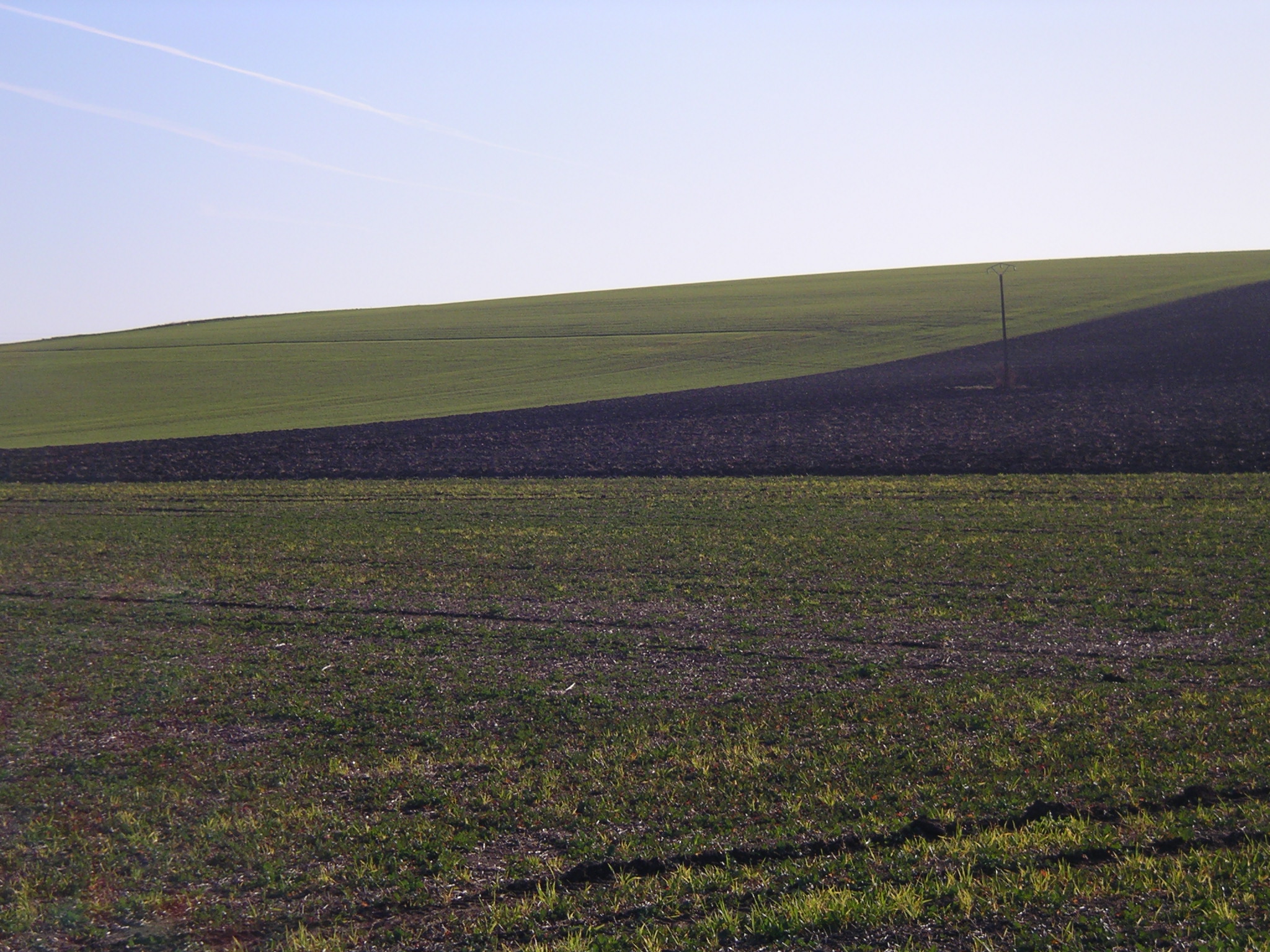 Lancement de l’AMI « Développer les pratiques et des filières basées sur l’agroécologie pour sortir des pesticides » Lancement de l’AMI « Développer les pratiques et des filières basées sur l’agroécologie pour sortir des pesticides »