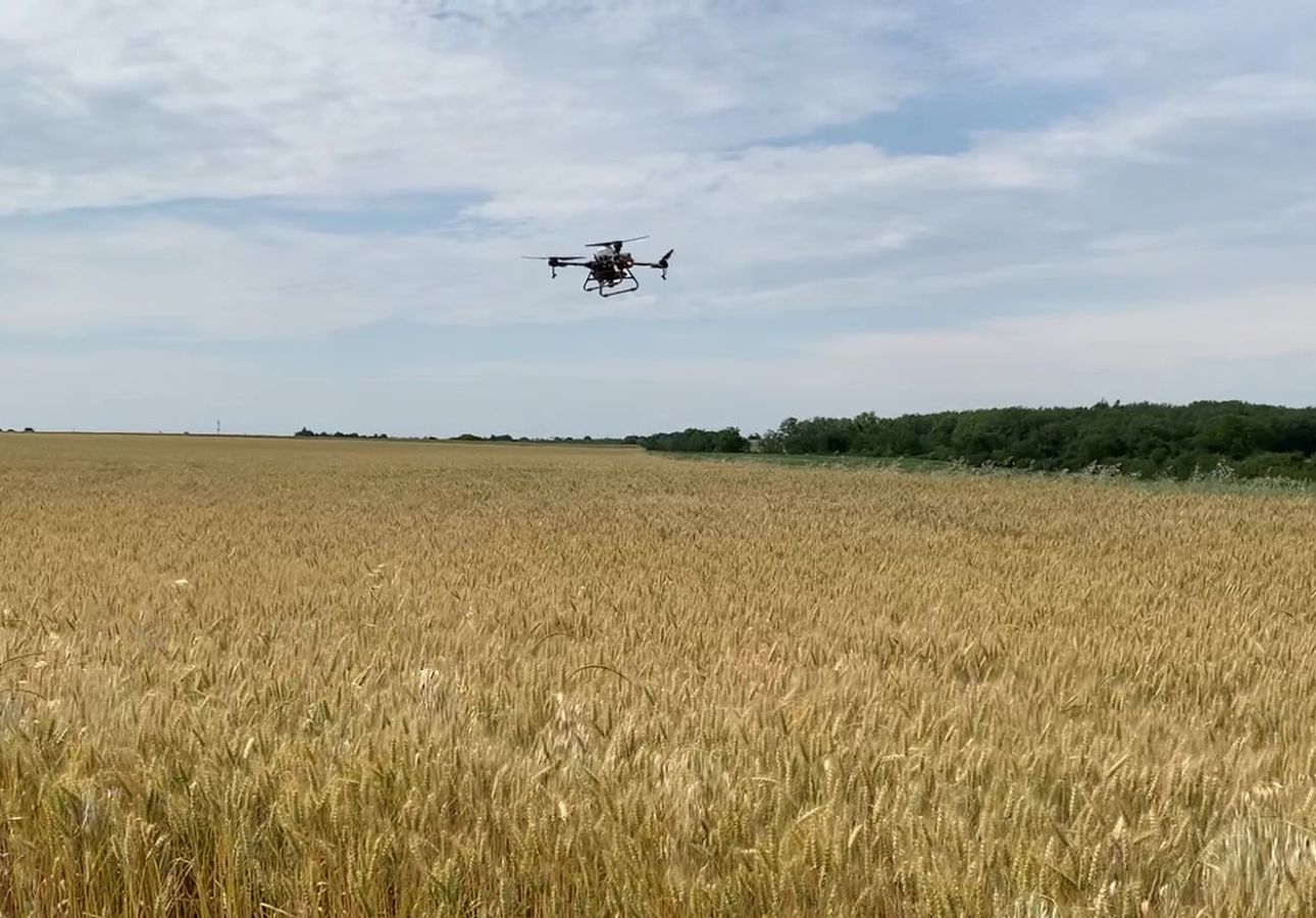 Des essais de couverts végétaux, semés directement par drone (86)