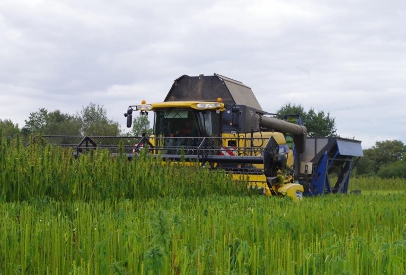 Fiche REX : développement d’une filière chanvre par Grand Poitiers