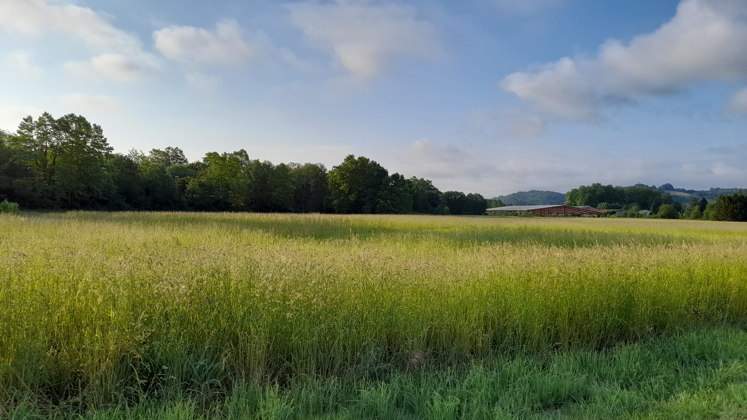 Fiche REX : Préserver la ressource en eau grâce à la maîtrise foncière et la conversion de parcelles en prairies (64)